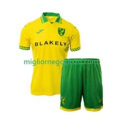 Maglia Norwich City Bambino Casa Divisa 2025-2026 Manica Corta
