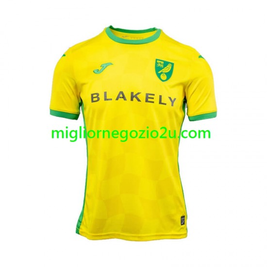 Maglia Norwich City Uomo Casa Divisa 2024-2025 Manica Corta