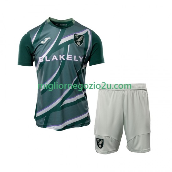 Maglia Norwich City Bambino Trasferta Divisa 2025-2026 Manica Corta