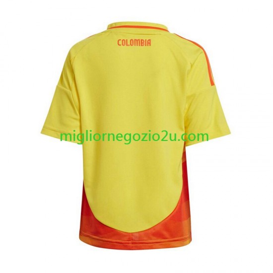 Maglia Colombia Copa America 2024 Uomo Casa Divisa Manica Corta