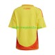 Maglia Colombia Copa America 2024 Uomo Casa Divisa Manica Corta