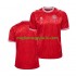 Maglia Danimarca Uomo Casa Divisa Euro 2024 Manica Corta