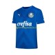 Maglia Palmeiras Portiere Uomo Casa Divisa 2023-2024 Manica Corta