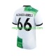 Maglia Liverpool Trent Alexander-Arnold 66 Uomo Trasferta Divisa 2023-2024 Manica Corta