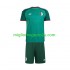 Maglia Algeria Bambino Trasferta Divisa 2026 Manica Corta