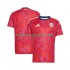 Maglia Costa Rica Uomo Casa Divisa 2026 Manica Corta