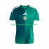 Maglia Irlanda Del Nord Uomo Casa Divisa 2026 Manica Corta
