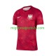 Maglia Polonia Uomo Trasferta Divisa 2026 2027 Manica Corta