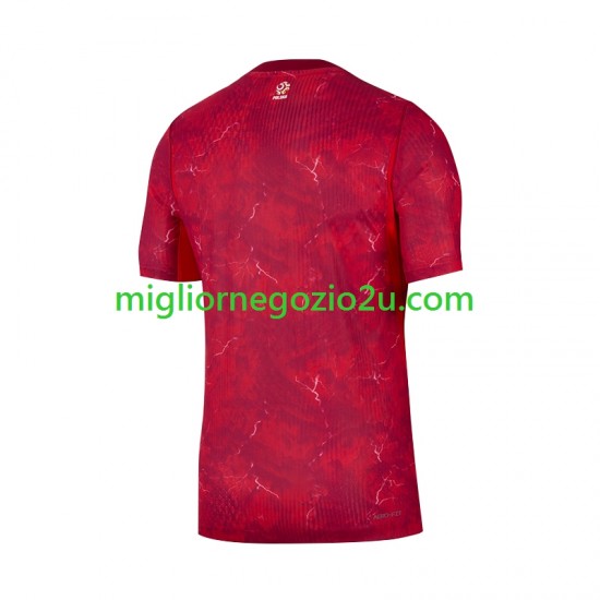 Maglia Polonia Uomo Trasferta Divisa 2026 2027 Manica Corta
