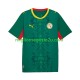 Maglia Senegal Uomo Trasferta Divisa 2026 2027 Manica Corta