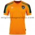 Maglia Irlanda Trasferta Divisa 2021-2022 Manica Corta