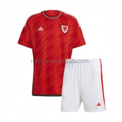 Maglia Galles Bambino Casa Divisa Mondiali 2022 Manica Corta