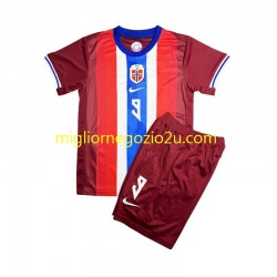Maglia Norvegia Erling Haaland 9 Bambino Casa Divisa 2024 Manica Corta