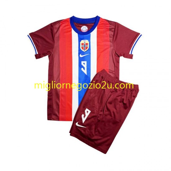 Maglia Norvegia Erling Haaland 9 Bambino Casa Divisa 2024 Manica Corta