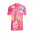 Maglia Scozia Portiere Uomo Terza Divisa Euro 2024 Manica Corta