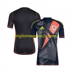 Maglia Galles Portiere Uomo Casa Divisa 2024 Manica Corta